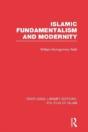 Islamic Fundamentalism And Modernity - Preview