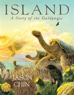 Capa do artigo Island