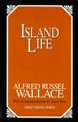 Island Life - Preview