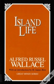 Capa do artigo Island Life