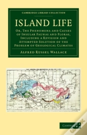 Capa do artigo Island Life