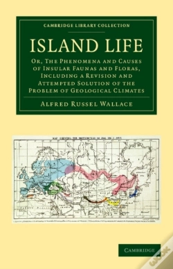 Capa do artigo Island Life