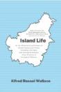 Island Life - Preview