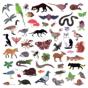 Island of Noise - CD - Preview