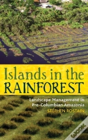 Capa do artigo Islands In The Rainforest