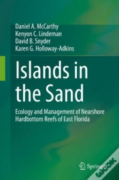 Capa do artigo Islands In The Sand