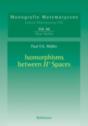 Isomorphisms Between H' Spaces - Preview