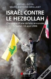 Israël-Hezbollah ; Décryptage