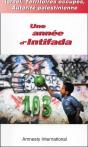 Israël, Territoires Occupés, Autorite Palestinienne, Une Année D'Intifada - Preview
