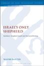 Israel'S Only Shepherd - Preview