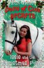 Issie And The Christmas Pony - Preview