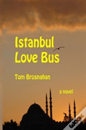 Capa do artigo Istanbul Love Bus