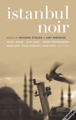Capa do artigo Istanbul Noir