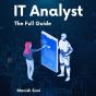 It Analyst Internship - Preview