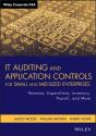 It Auditing And Application Controls For Small And Mid-Sized Enterprises - Preview