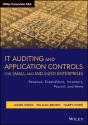 It Auditing And Application Controls For Small And Mid-Sized Enterprises - Preview