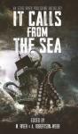 It Calls From The Sea - Preview