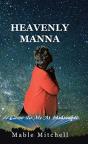 It Came To Me At Midnight!: Heavenly Man - Preview