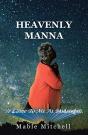 It Came To Me At Midnight!: Heavenly Man - Preview