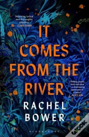 Capa do artigo It Comes From The River
