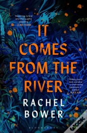 Capa do artigo It Comes From The River