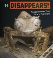 Capa do artigo It Disappears!