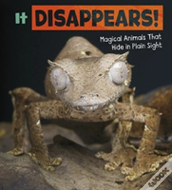 Capa do artigo It Disappears!