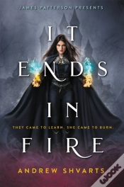 Capa do artigo It Ends In Fire