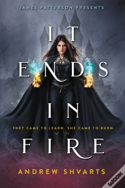 Capa do artigo It Ends In Fire