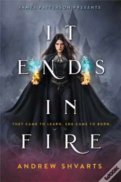 Capa do artigo It Ends In Fire