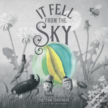 It Fell From The Sky
