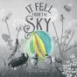 It Fell From The Sky - Preview