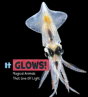 It Glows! - Preview