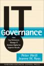 It Governance - Preview