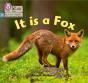 It Is A Fox - Preview