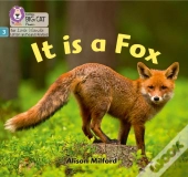 It Is A Fox
