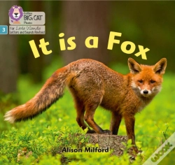Capa do artigo It Is A Fox