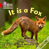 It Is A Fox