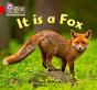 It Is A Fox - Preview