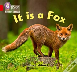 Capa do artigo It Is A Fox