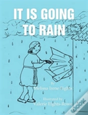 Capa do artigo It Is Going To Rain