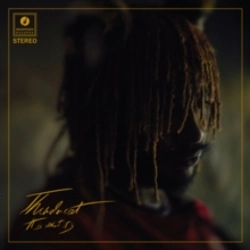Capa do artigo It Is What It Is - Vinil