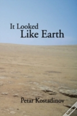 Capa do artigo It Looked Like Earth