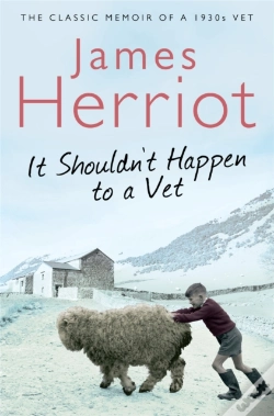 Capa do artigo It Shouldn'T Happen To A Vet