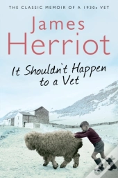 It Shouldn'T Happen To A Vet