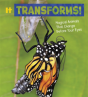 It Transforms! - Preview