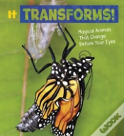 Capa do artigo It Transforms!