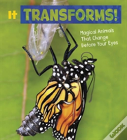 Capa do artigo It Transforms!