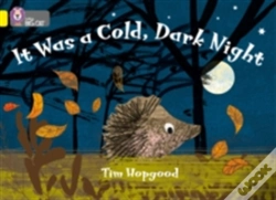 Capa do artigo It Was A Cold Dark Night