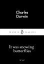 It Was Snowing Butterflies - Preview